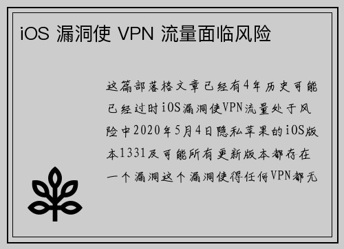 iOS 漏洞使 VPN 流量面临风险 
