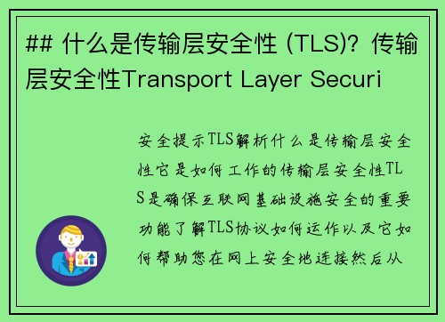 ## 什么是传输层安全性 (TLS)？传输层安全性Transport Layer Securi